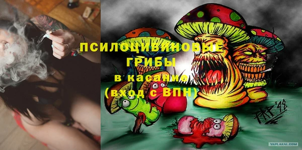 спиды Алексин