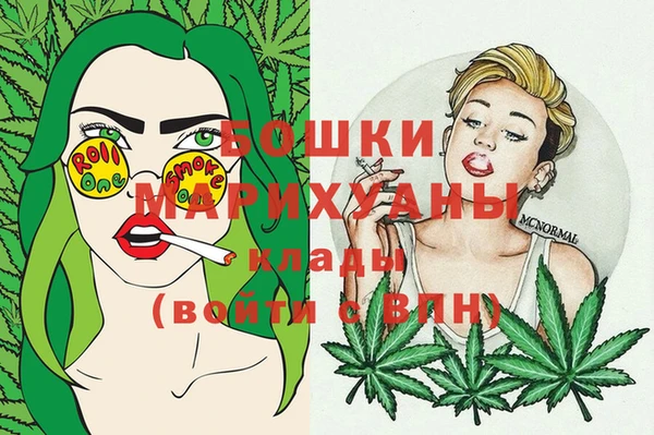 хмурый Пестово